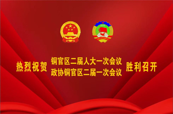熱烈祝賀公司董事、副總經(jīng)理王從偉被選為 第二屆銅陵市銅官區(qū)政協(xié)常務(wù)委員